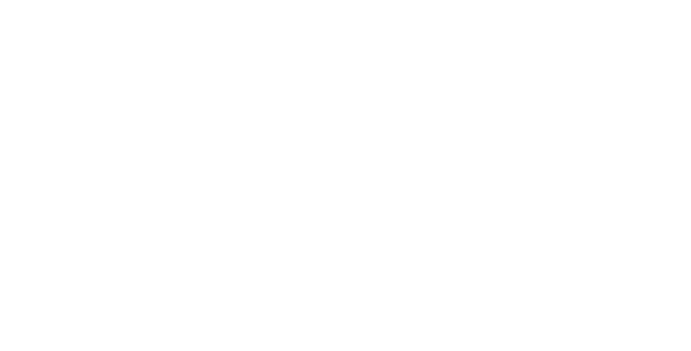 NORAUTRON AS